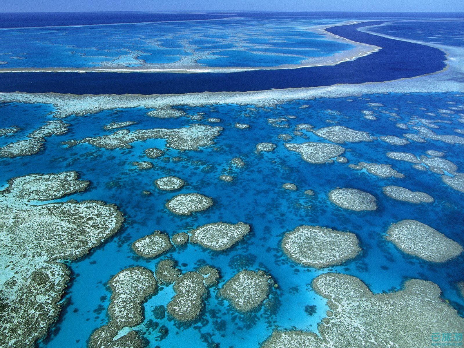 【携程攻略】凯恩斯大堡礁景点,每次去澳洲都会去一趟大堡礁，在凯恩斯住上几天。推荐坐直升机俯瞰整…