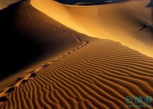                                  纳米布沙漠