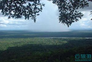                     塞拉利昂原始雨林