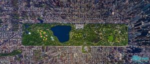 纽约中央公园俯视图