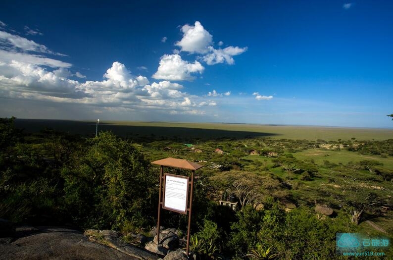 塞伦盖蒂国家公园是坦桑尼亚最著名的国家公园，植被以开阔草原型植物为主，一个有着300多万只大型哺乳动物的巨大生态系统，这些动物群在季节性的水源地和草场之间来往迁徙。