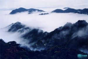 岭南国家森林公园