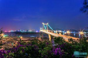 海沧大桥旅游推荐