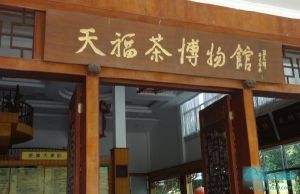 天福茶博物馆旅游推荐